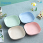 freemir 4 Pcs Plates